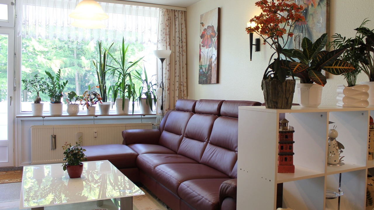 Photo of Livingroom in Groemitz