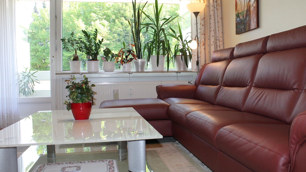 Photo of Livingroom in Groemitz
