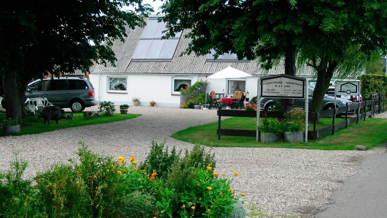 Photo of Outdoor in Fehmarn