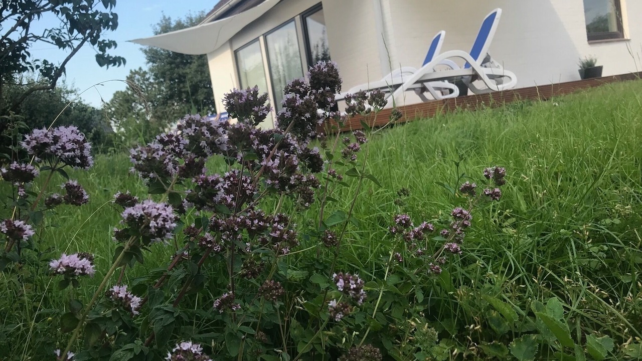 Photo of Outdoor in Landkirchen