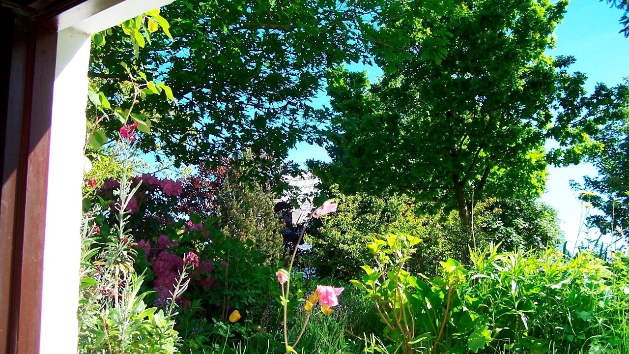 Photo of Outdoor in Eckernfoerde