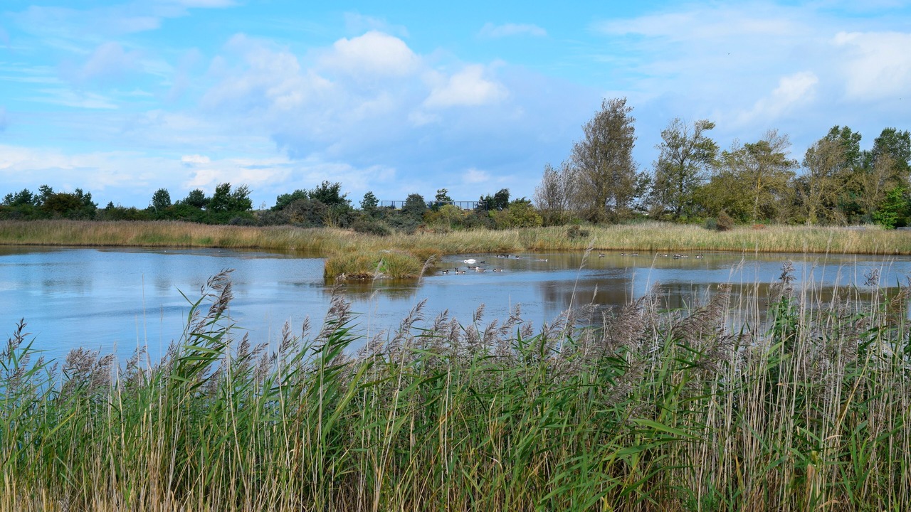 Photo of Outdoor in Steinwarder