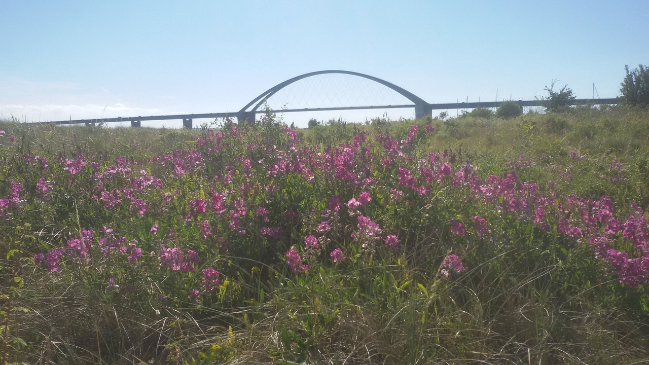 Photo of Outdoor in Fehmarnsund