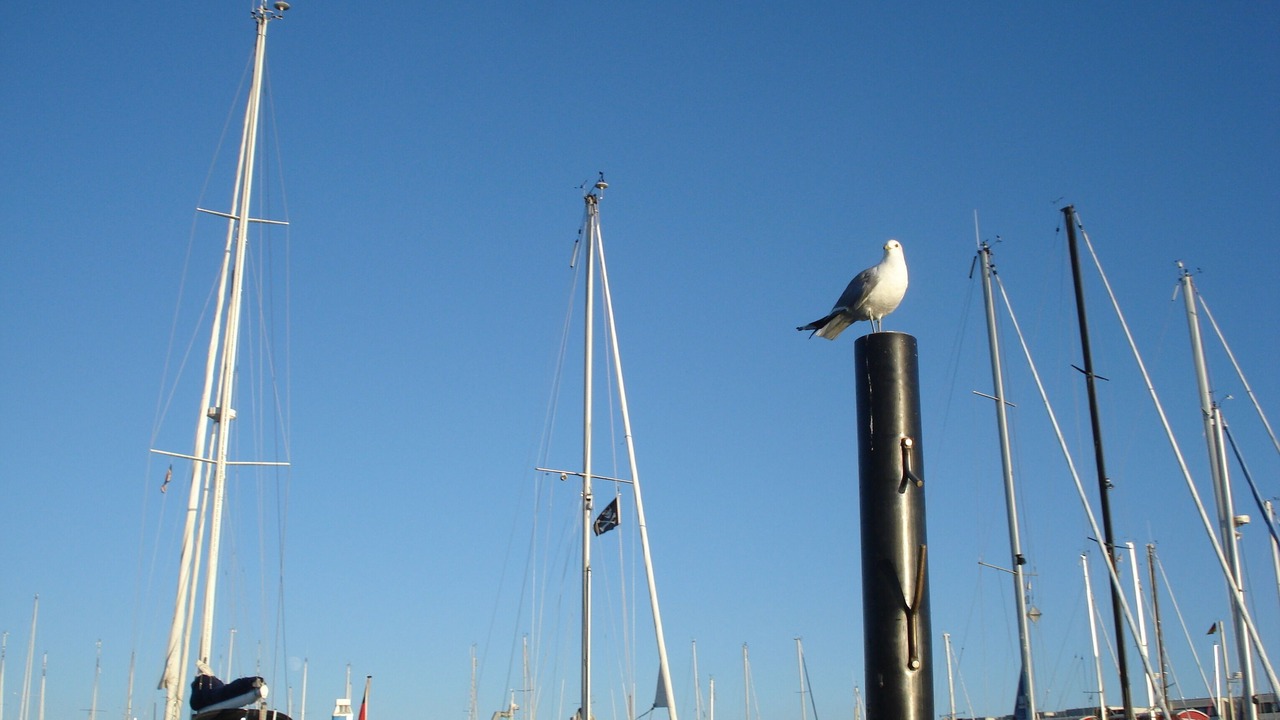 Photo of Others in Fehmarn