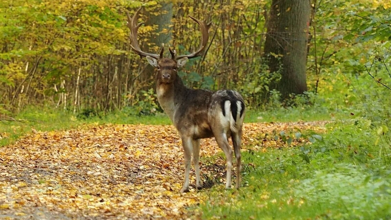 Photo of Outdoor in Kellenhusen