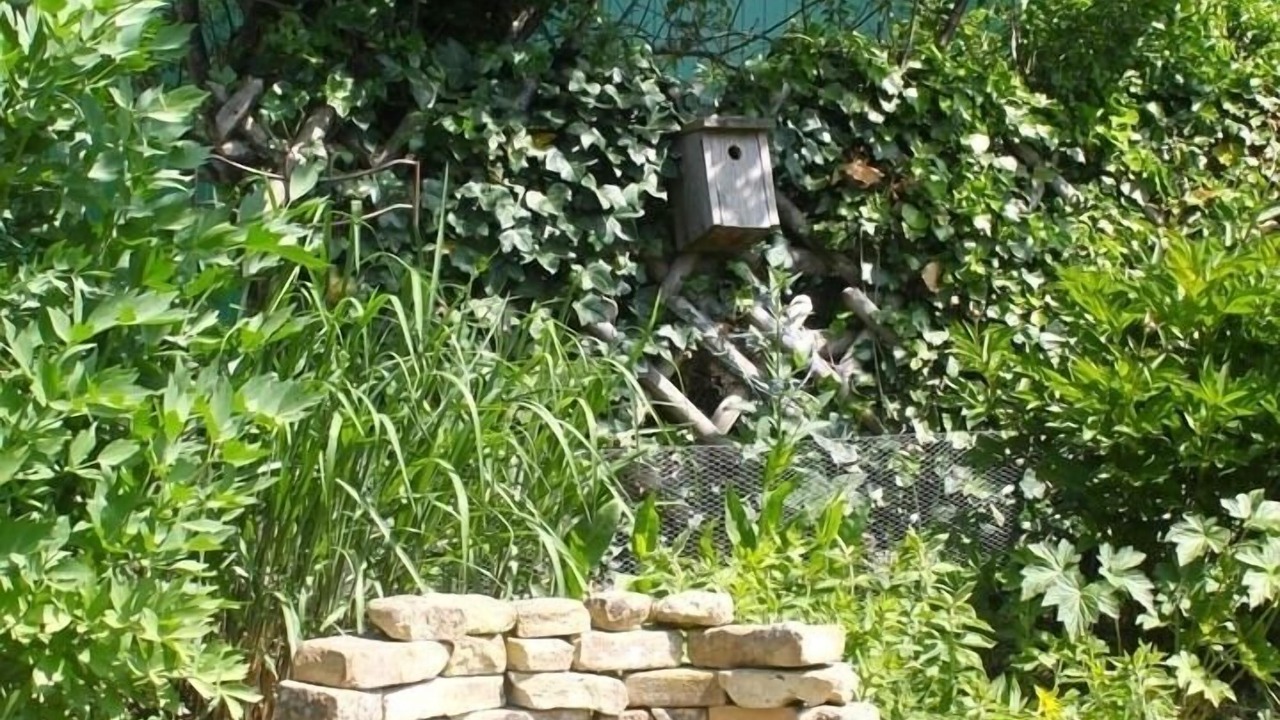 Photo of Outdoor in Petersdorf