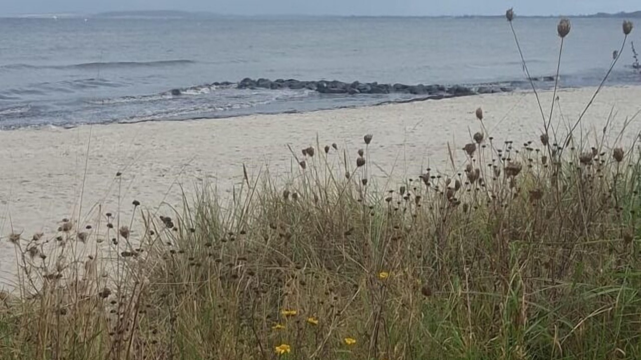 Photo of Others in Fehmarn