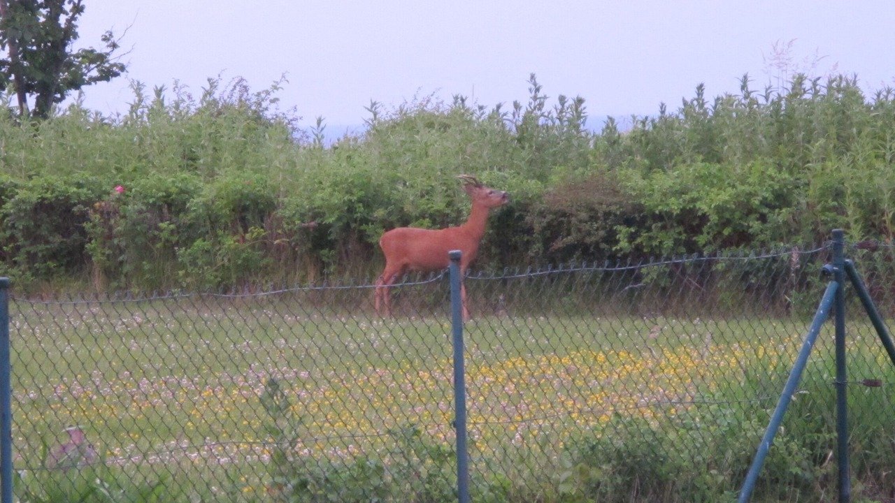 Photo of Outdoor in Marienleuchte