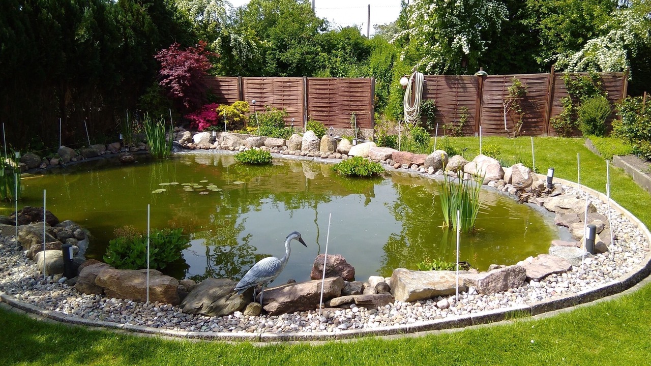 Photo of Outdoor in Eckernfoerde