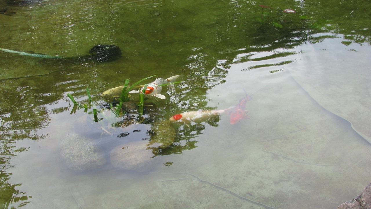 Photo of Outdoor in Eckernfoerde