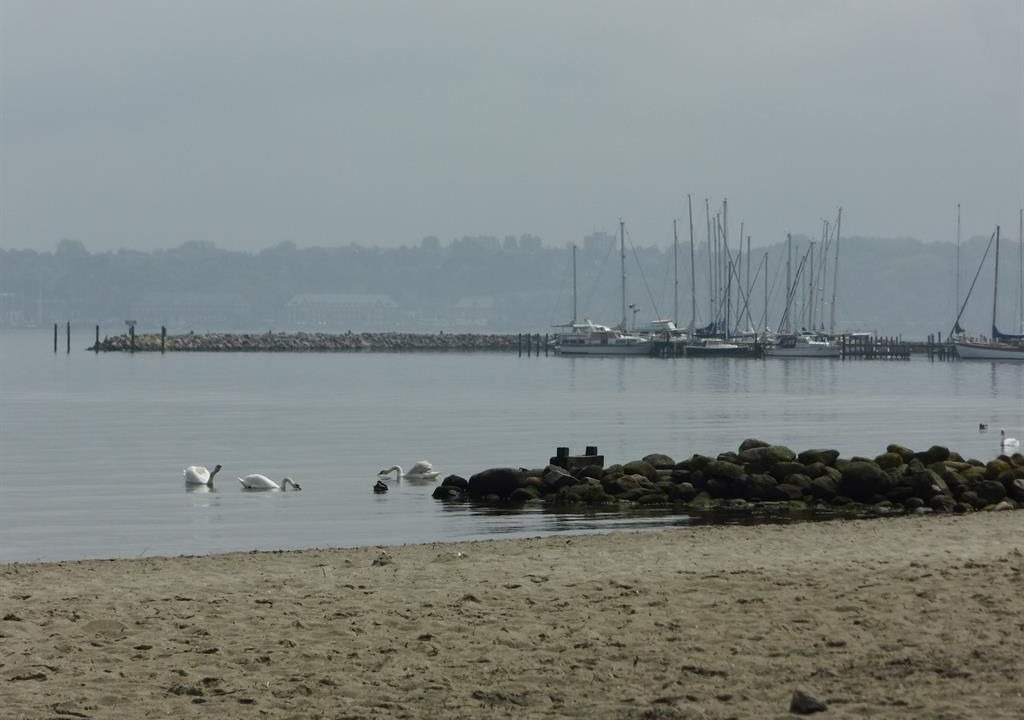 Photo of Others in Wassersleben