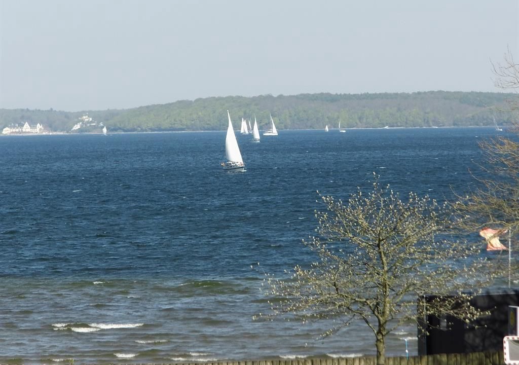 Photo of Others in Wassersleben