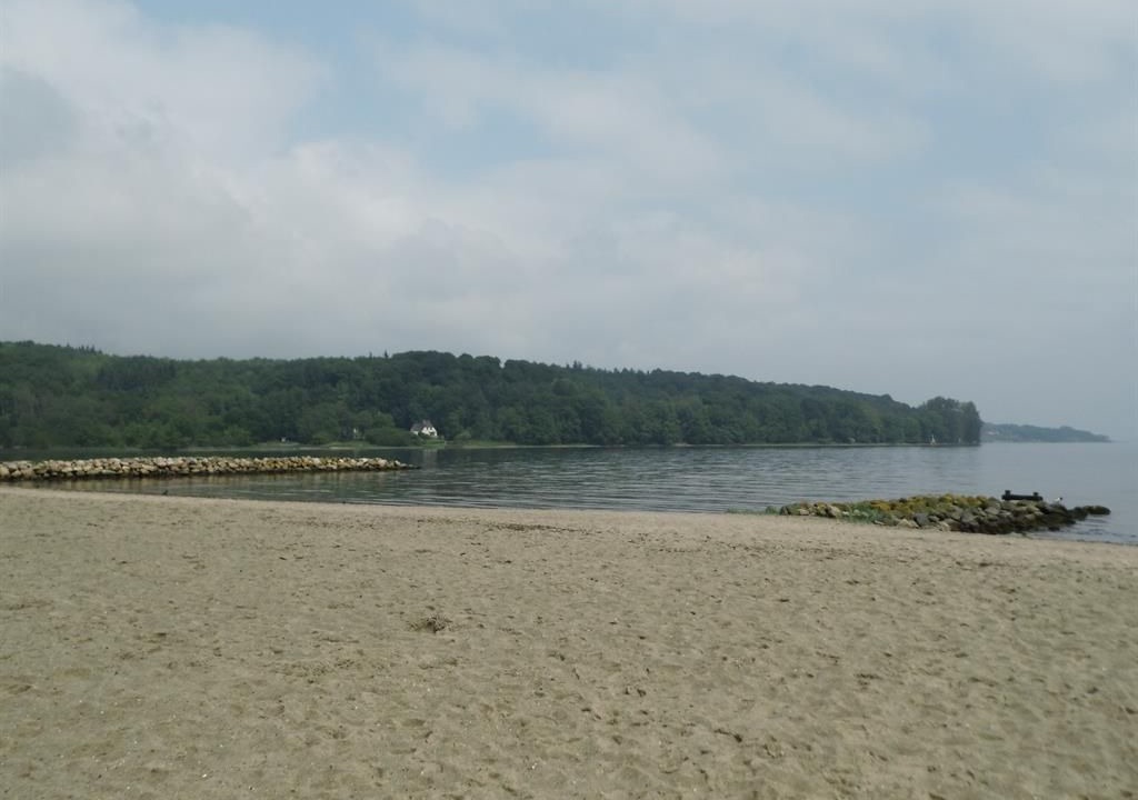 Photo of Others in Wassersleben