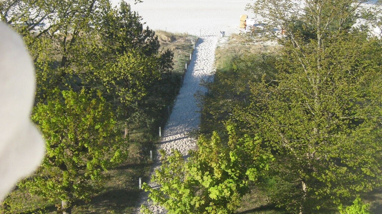 Photo of Others in Binz