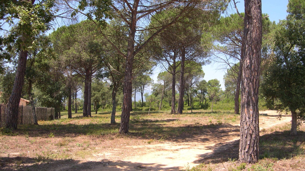 Photo of Outdoor in Santa Coloma de Farners