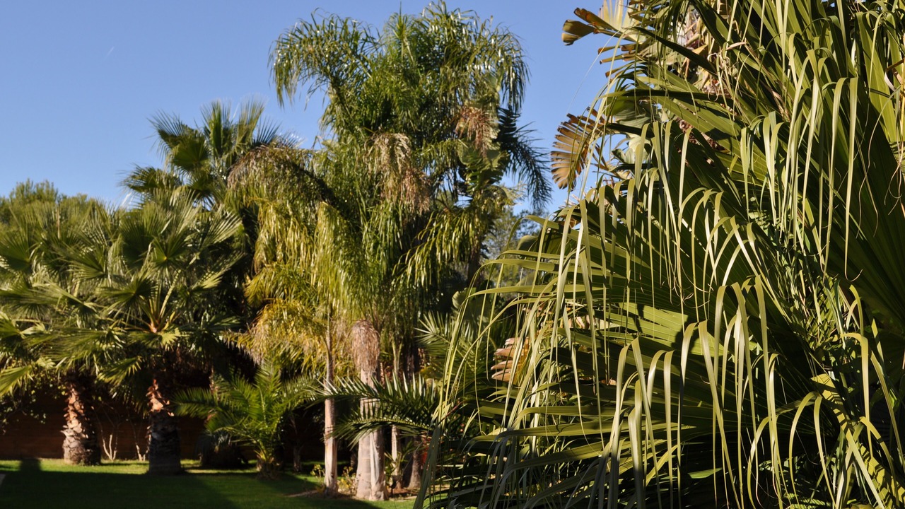 Photo of Outdoor in Sitges