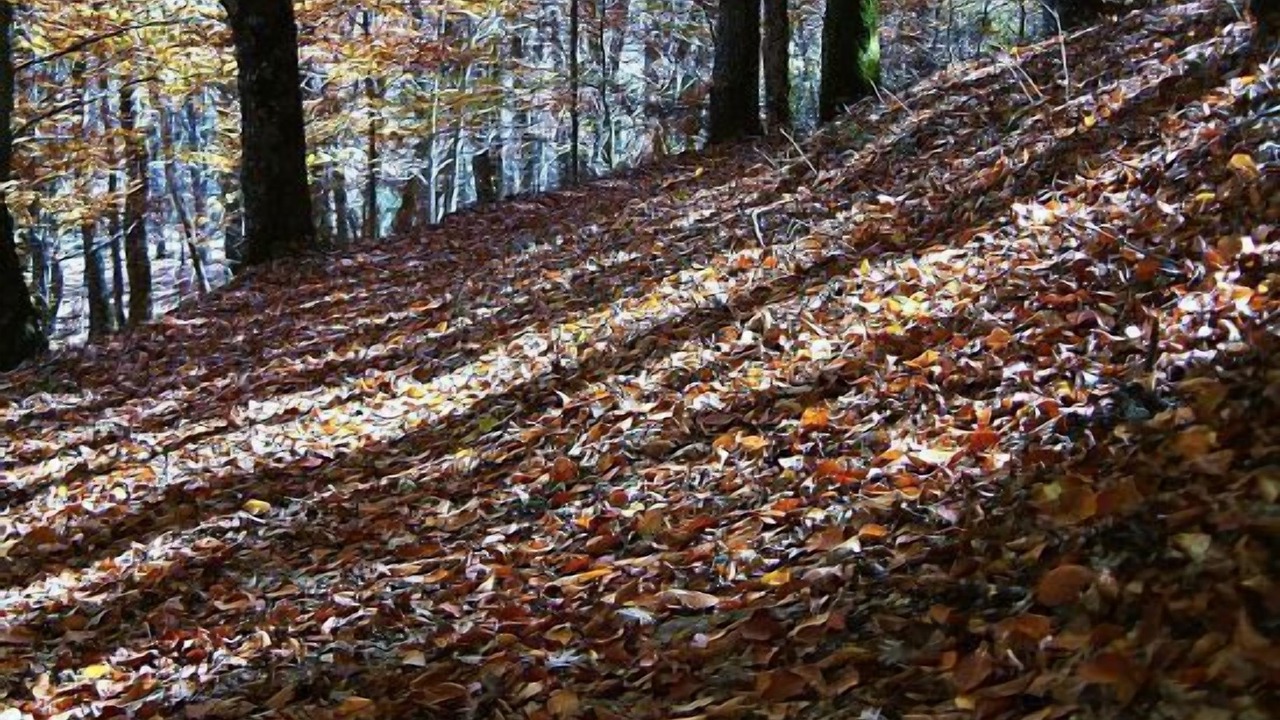 Photo of Outdoor in Montejo de la Sierra