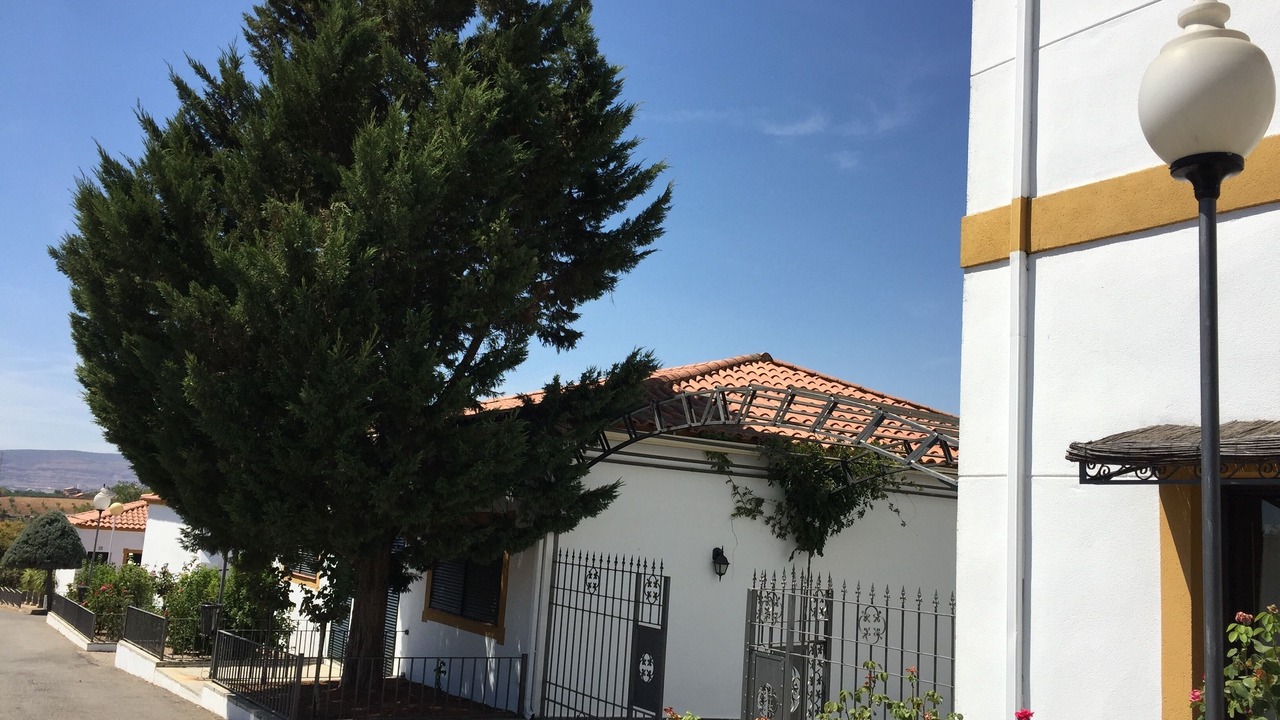 Photo of Outdoor in Zafra
