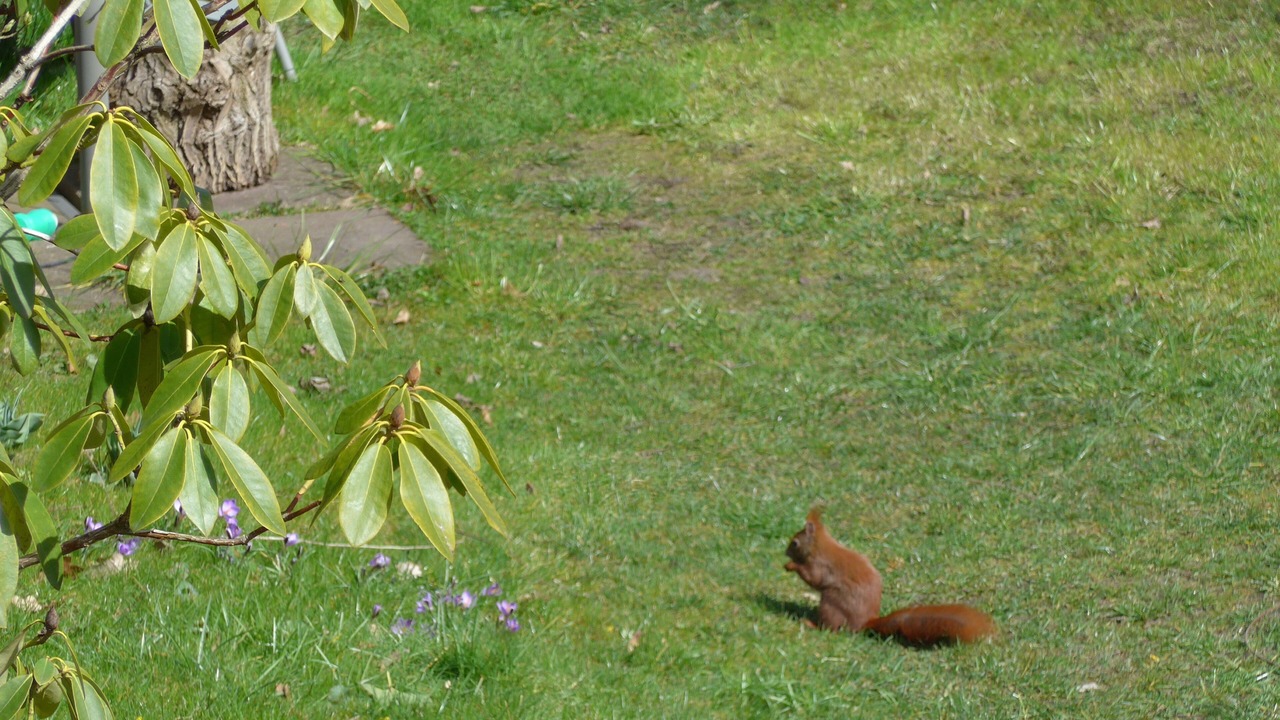 Photo of Outdoor in Poppenbuttel