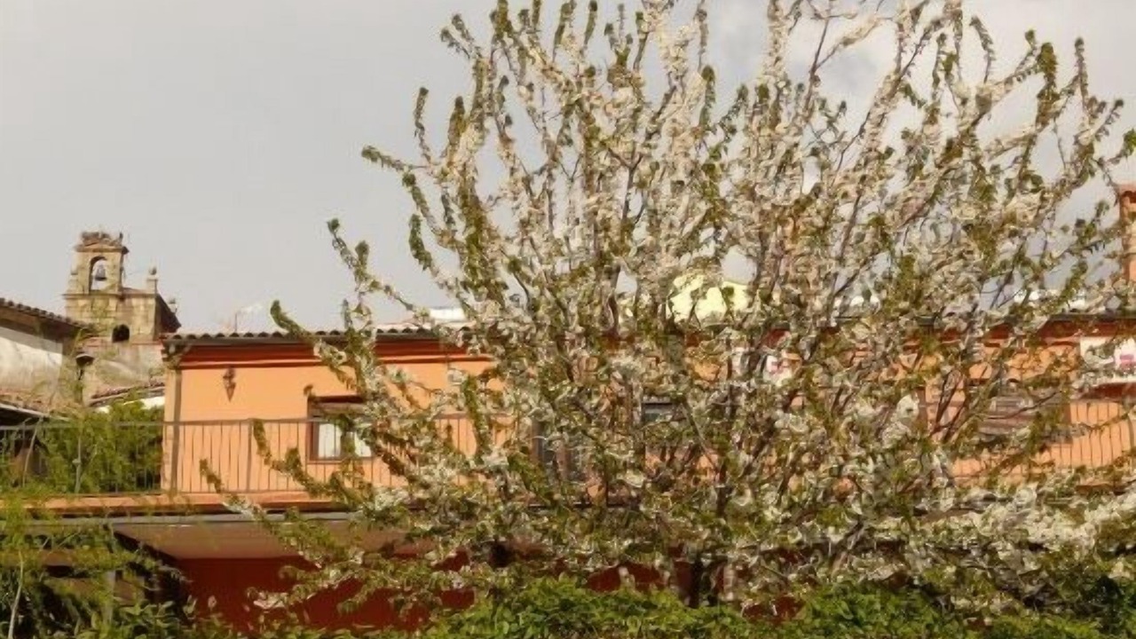 Photo of Outdoor in Villamiel