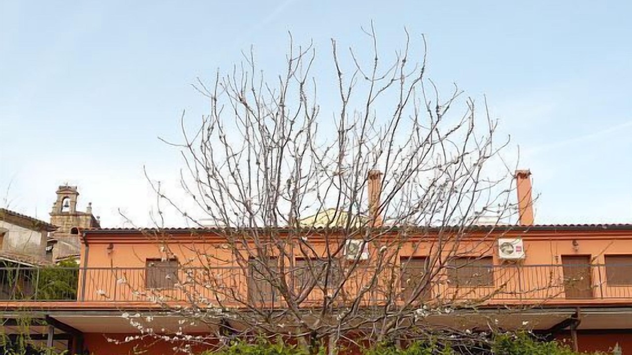 Photo of Outdoor in Villamiel