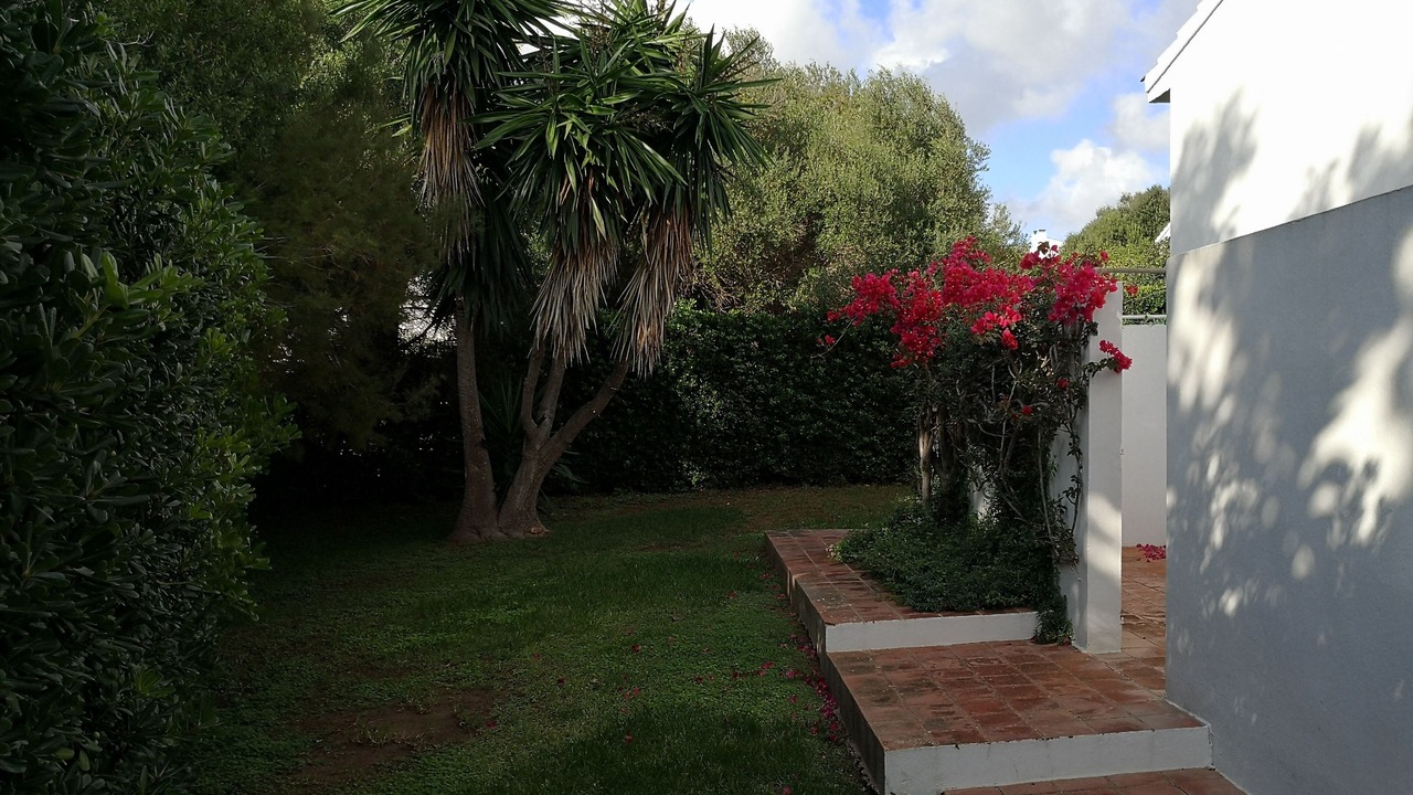Photo of Outdoor in Binibeca