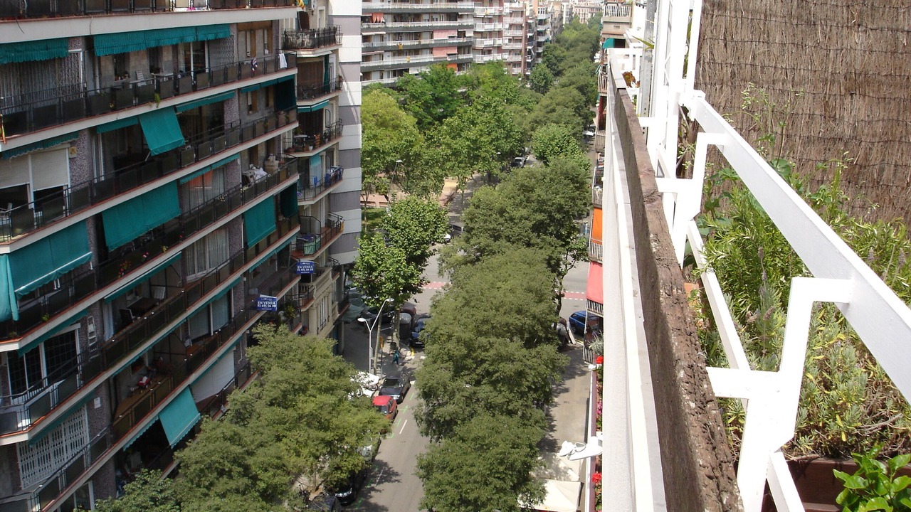 Photo of Outdoor in Sant Antoni