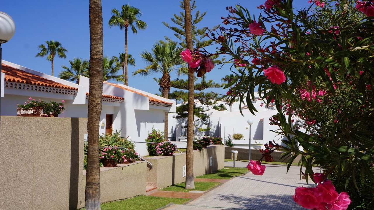 Photo of Outdoor in Costa Adeje