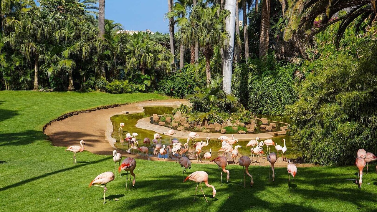 Photo of Others in Costa Adeje