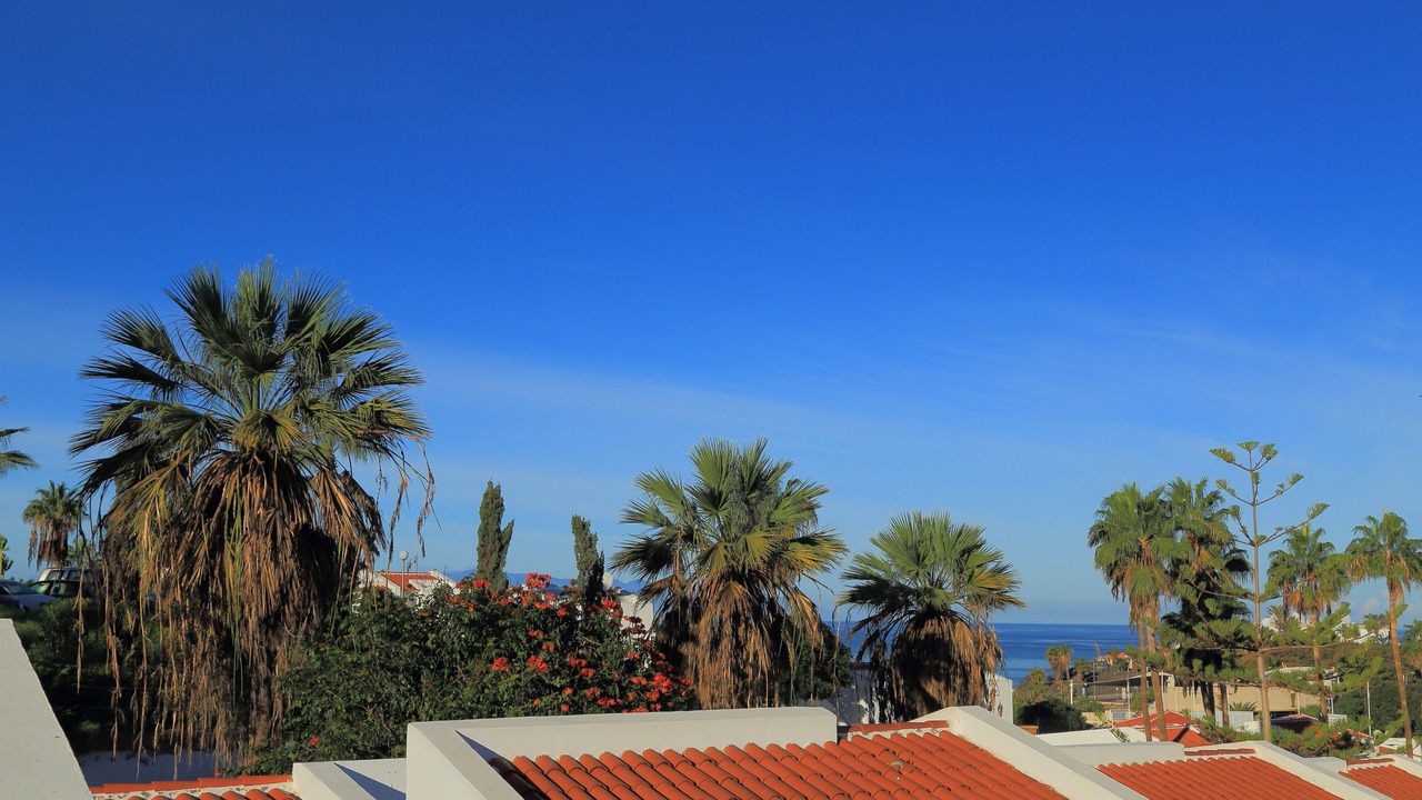 Photo of Others in Costa Adeje