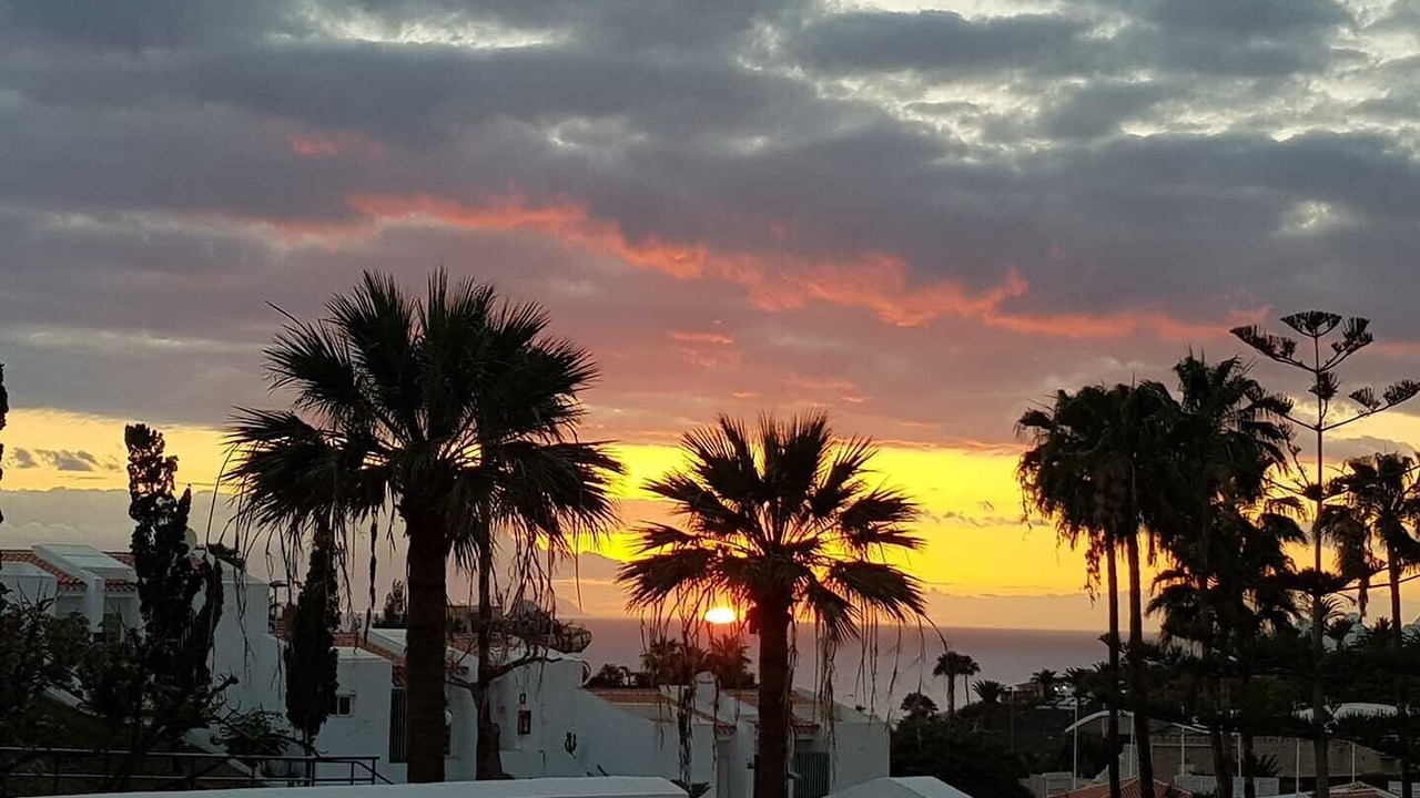 Photo of Others in Costa Adeje