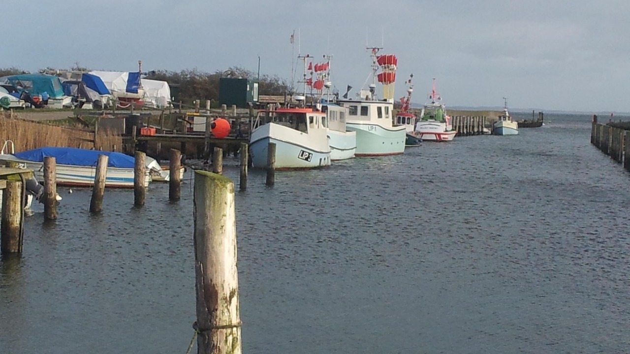 Photo of Others in Hohwacht