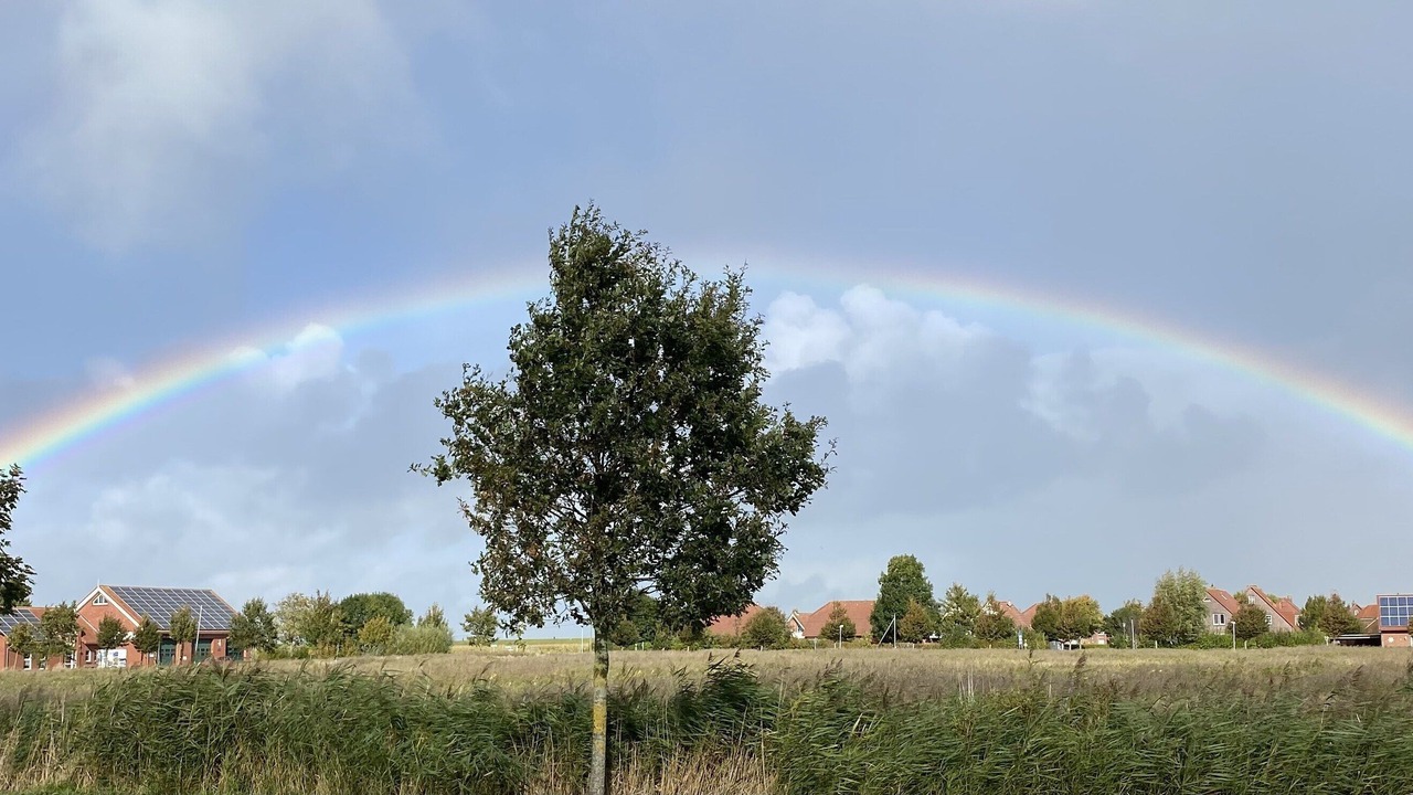 Photo of Outdoor in Greetsiel