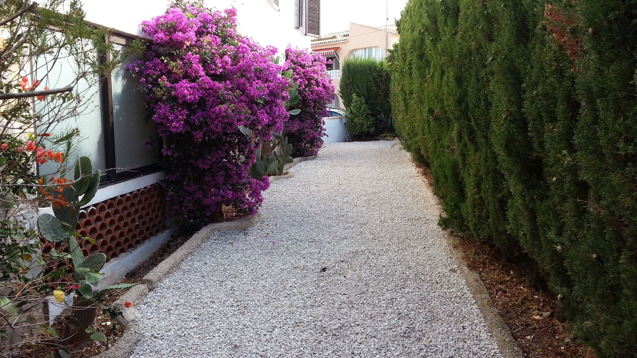 Photo of Outdoor in Casas de Torrat