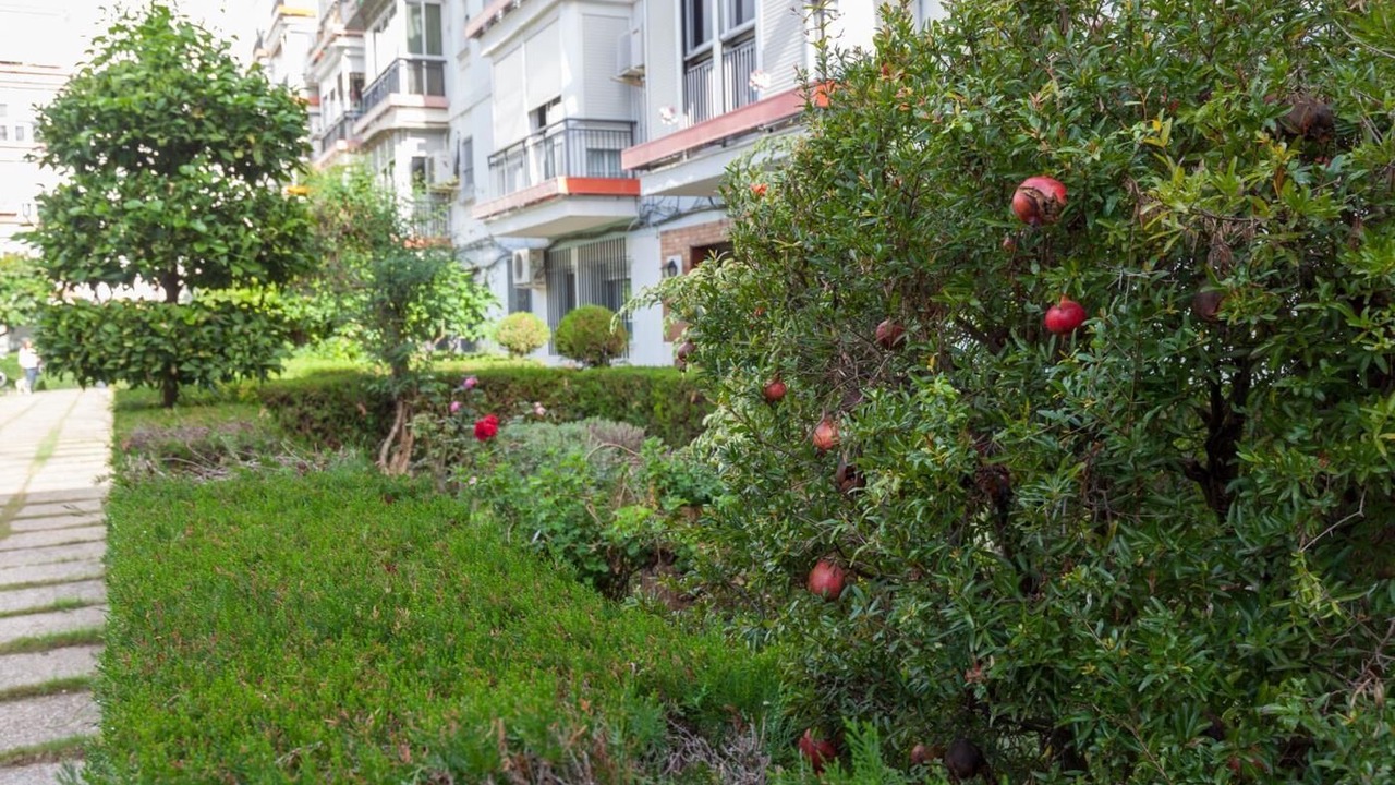 Photo of Outdoor in Triana