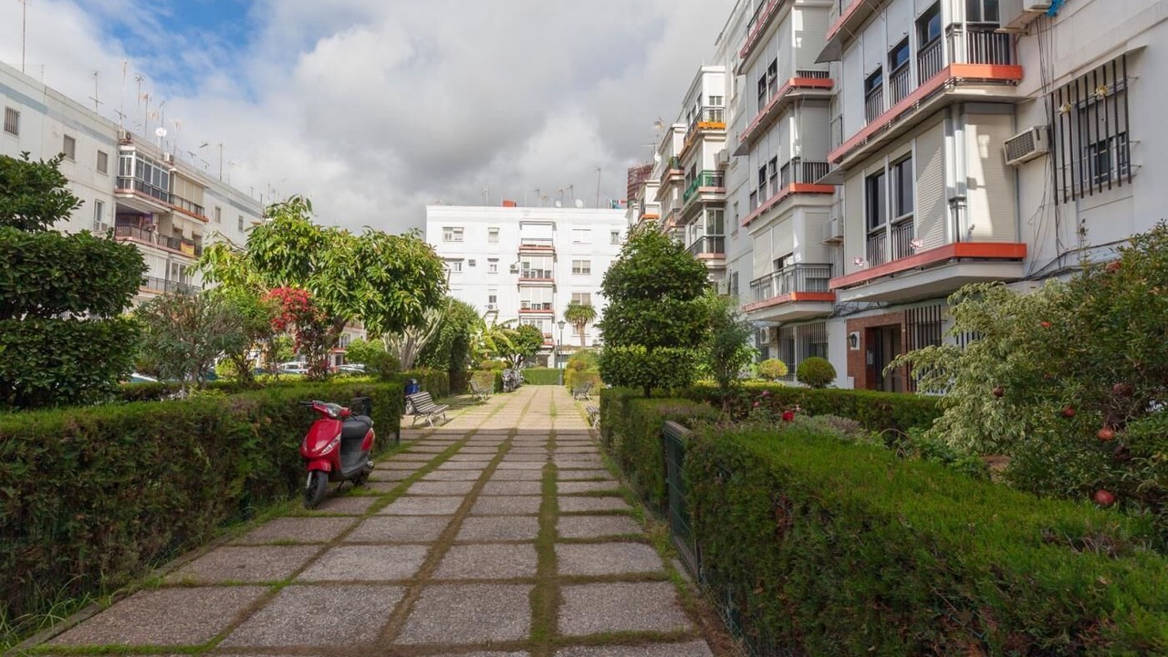 Photo of Outdoor in Triana