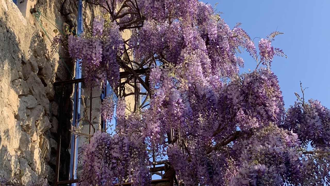Photo of Outdoor in Lagorce
