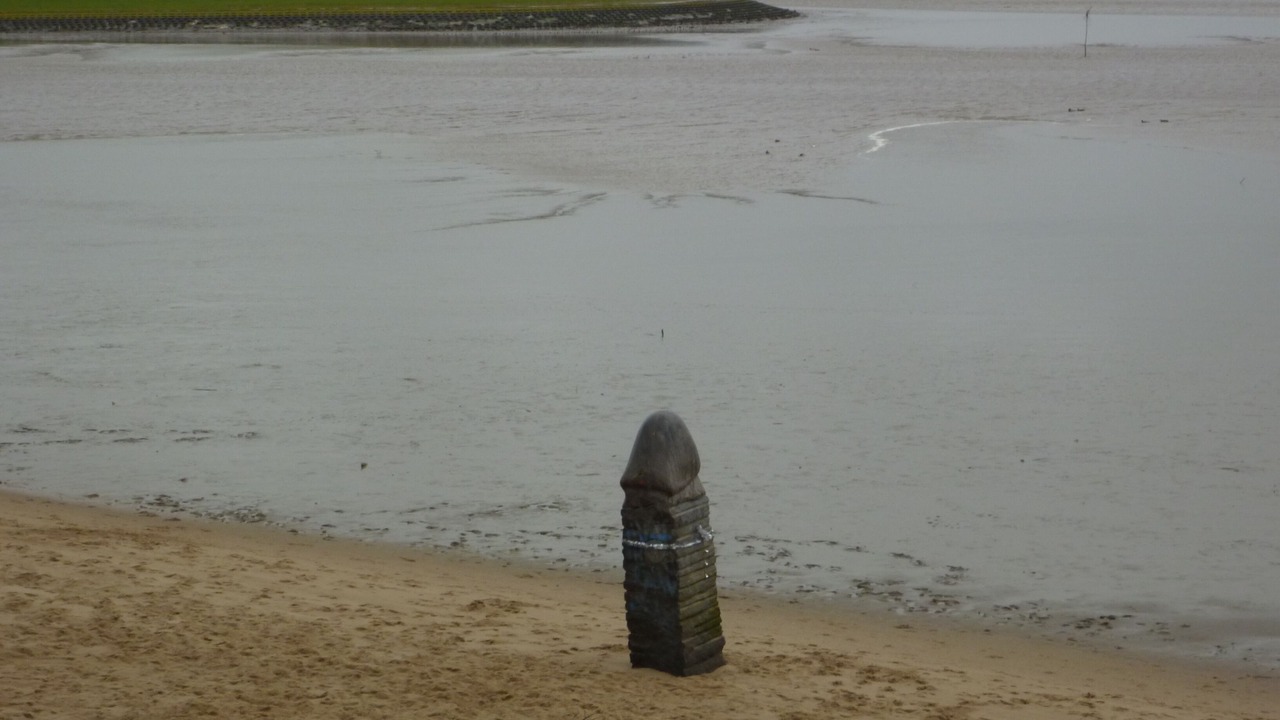Photo of Others in Dangast