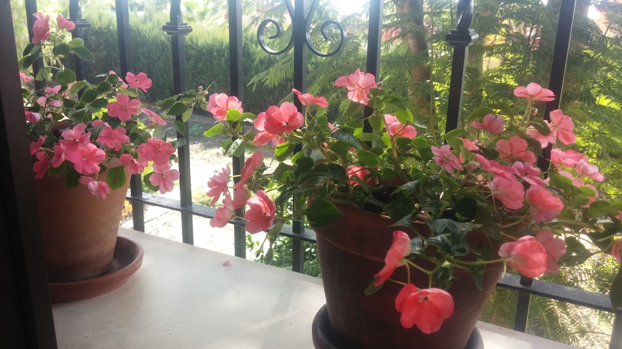 Photo of Outdoor in Cordoba