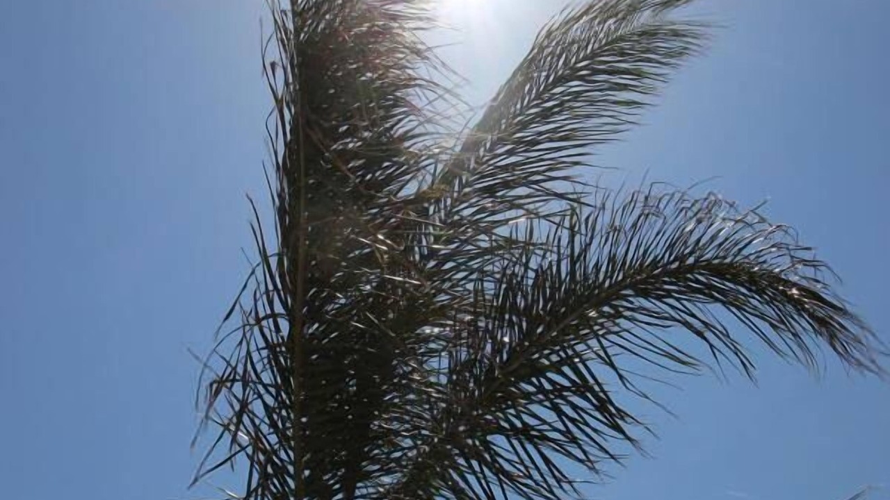 Photo of Outdoor in Campano