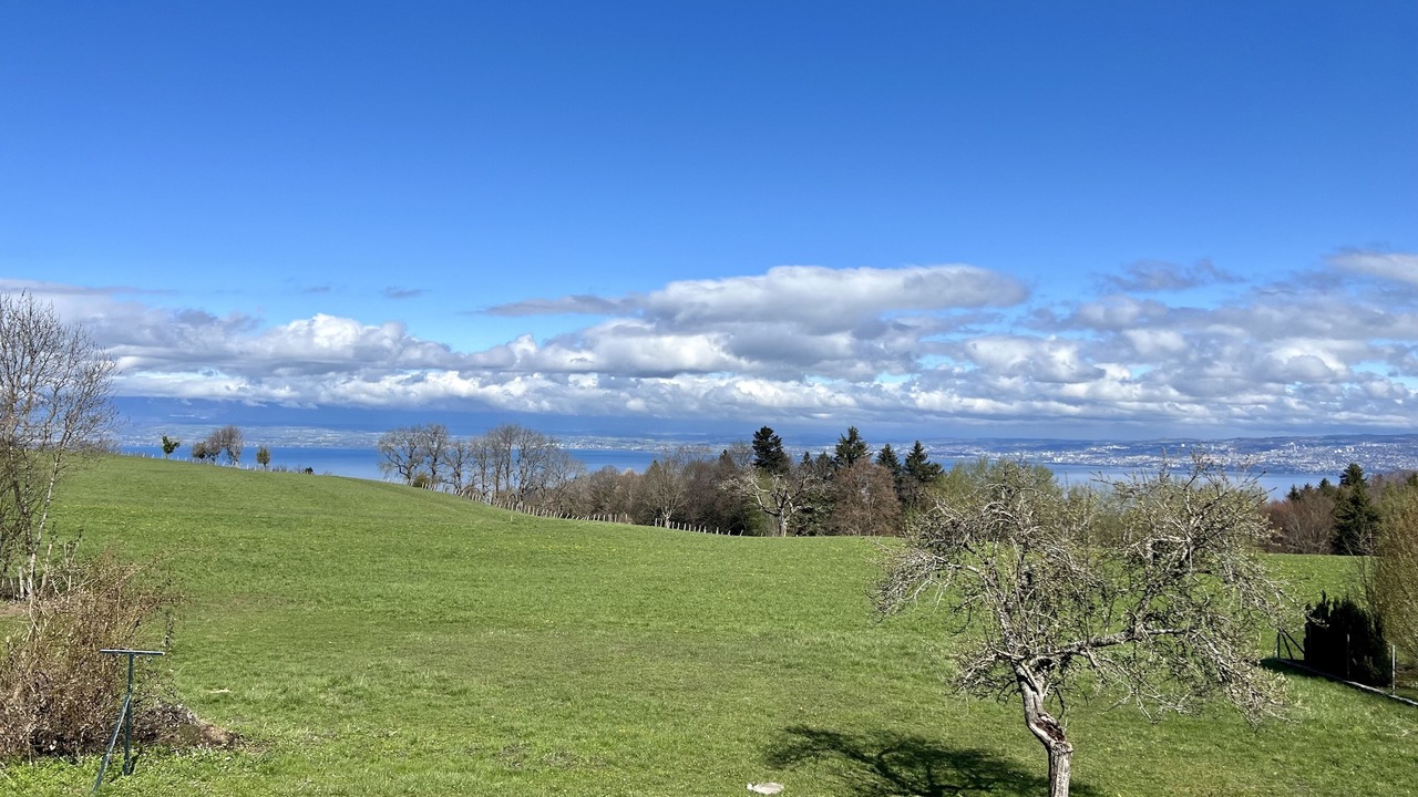 Photo of Others in Saint-Paul-en-Chablais