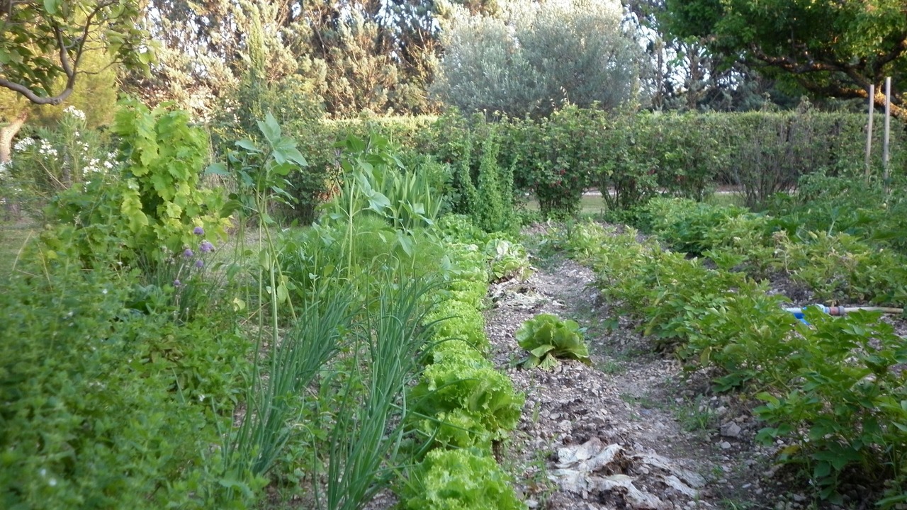 Photo of Outdoor in Puyvert