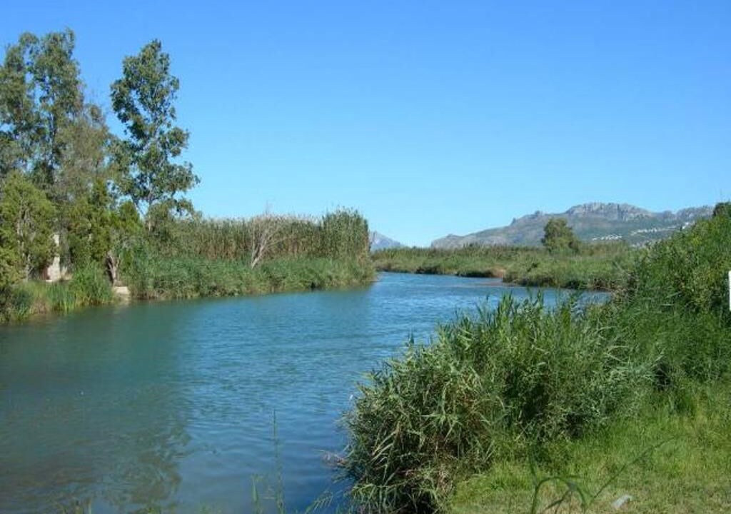 Photo of Others in Oliva