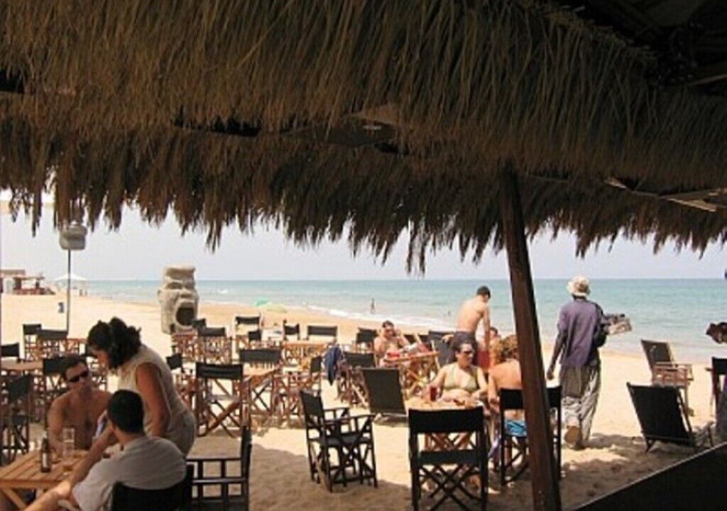 Photo of Outdoor in Oliva