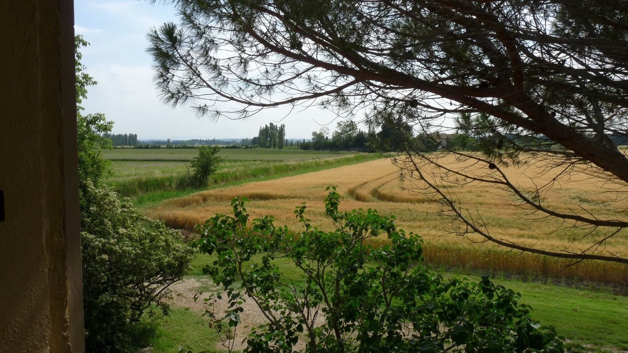 Photo of Outdoor in Saint-Etienne-du-Gres