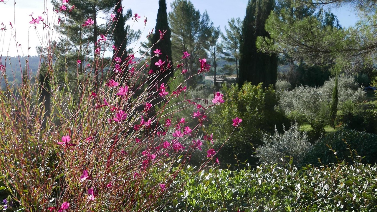 Photo of Outdoor in Le Tholonet