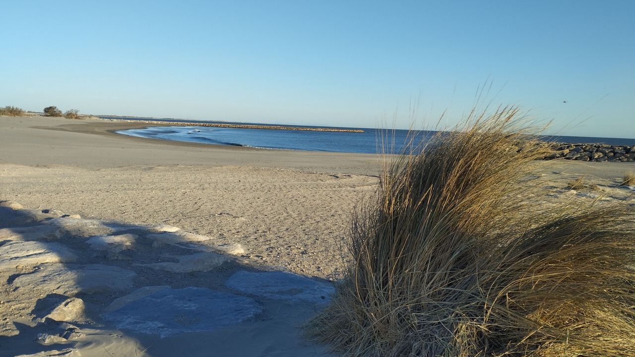 Photo of Others in Saintes-Maries-de-la-Mer