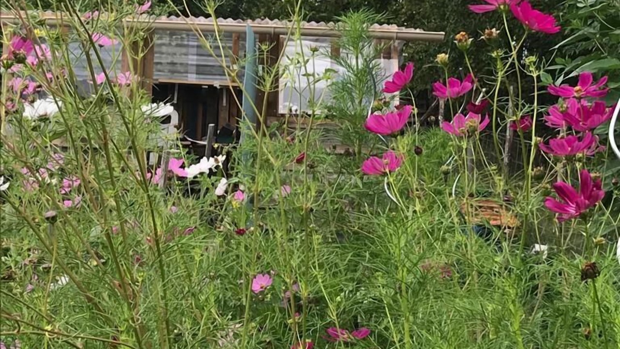 Photo of Outdoor in Plazac