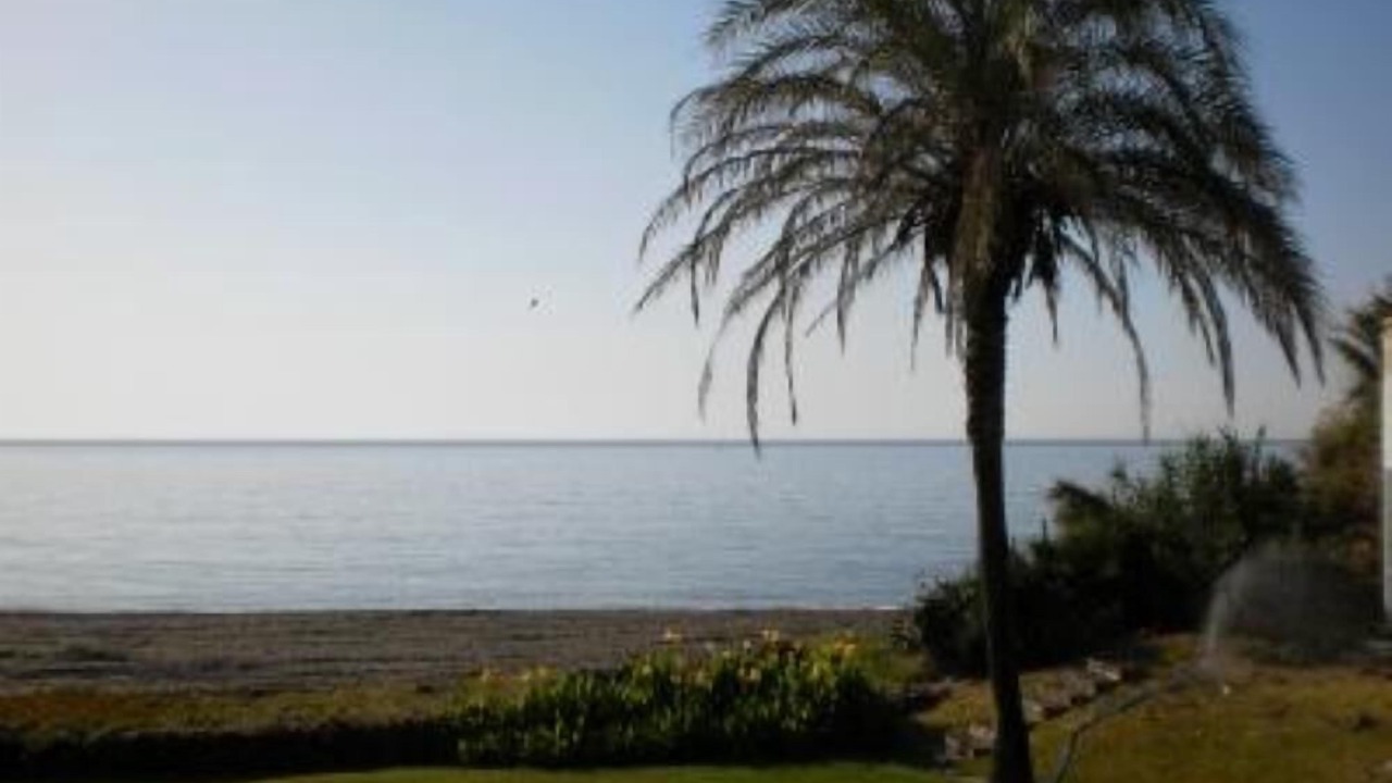 Photo of Others in Bahia Dorada