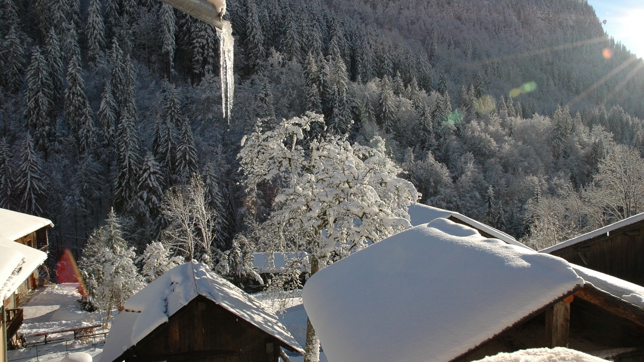 Photo of Outdoor in Montriond